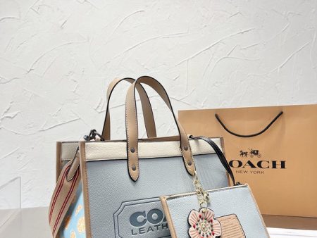 Envy Hold - Coach Bags - 132 Online Sale